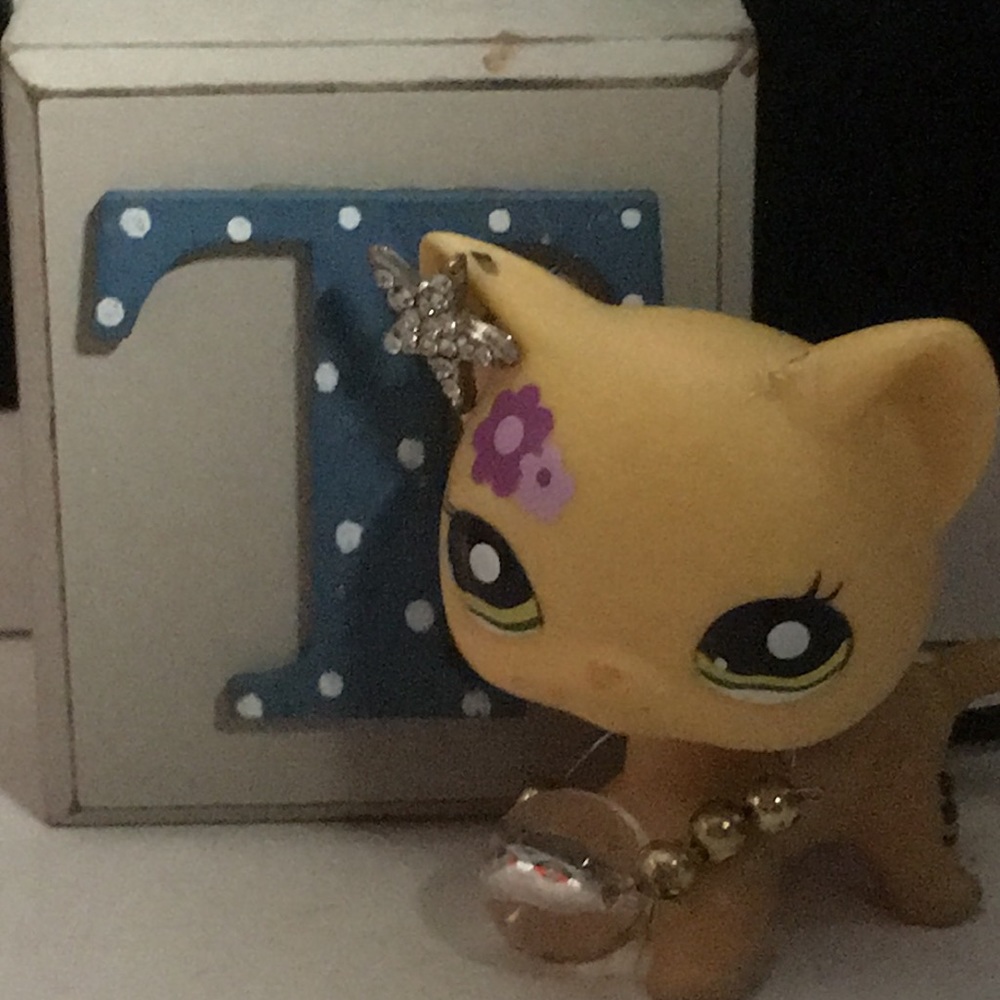 Meet your Posher, Trinity